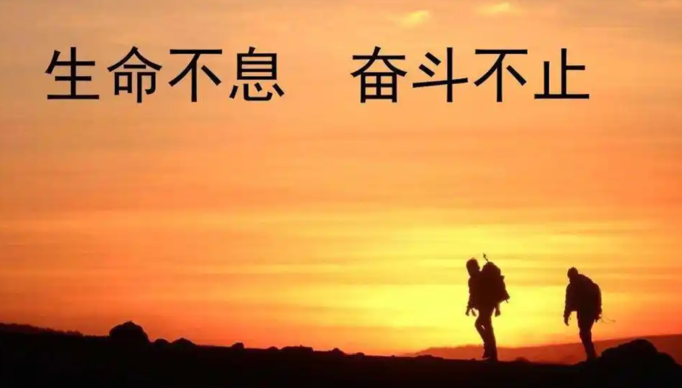 招募站长汇通分享-专注分享网络创业项目实操课程 – 全网首发_高质量创业项目输出汇通分享